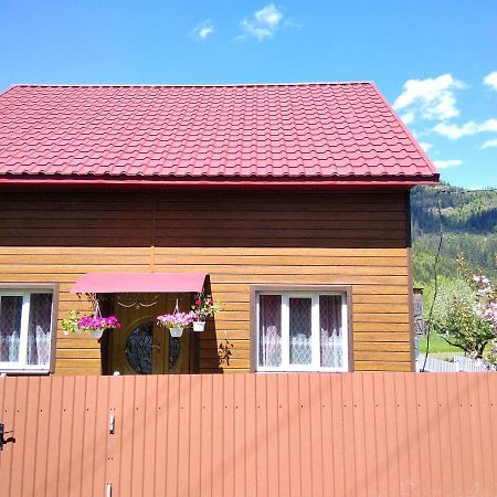 Відпочинок У Карпатах, Мінеральні Ванни, Банний Чан! Pension Verkhnyaya Bystra Buitenkant foto