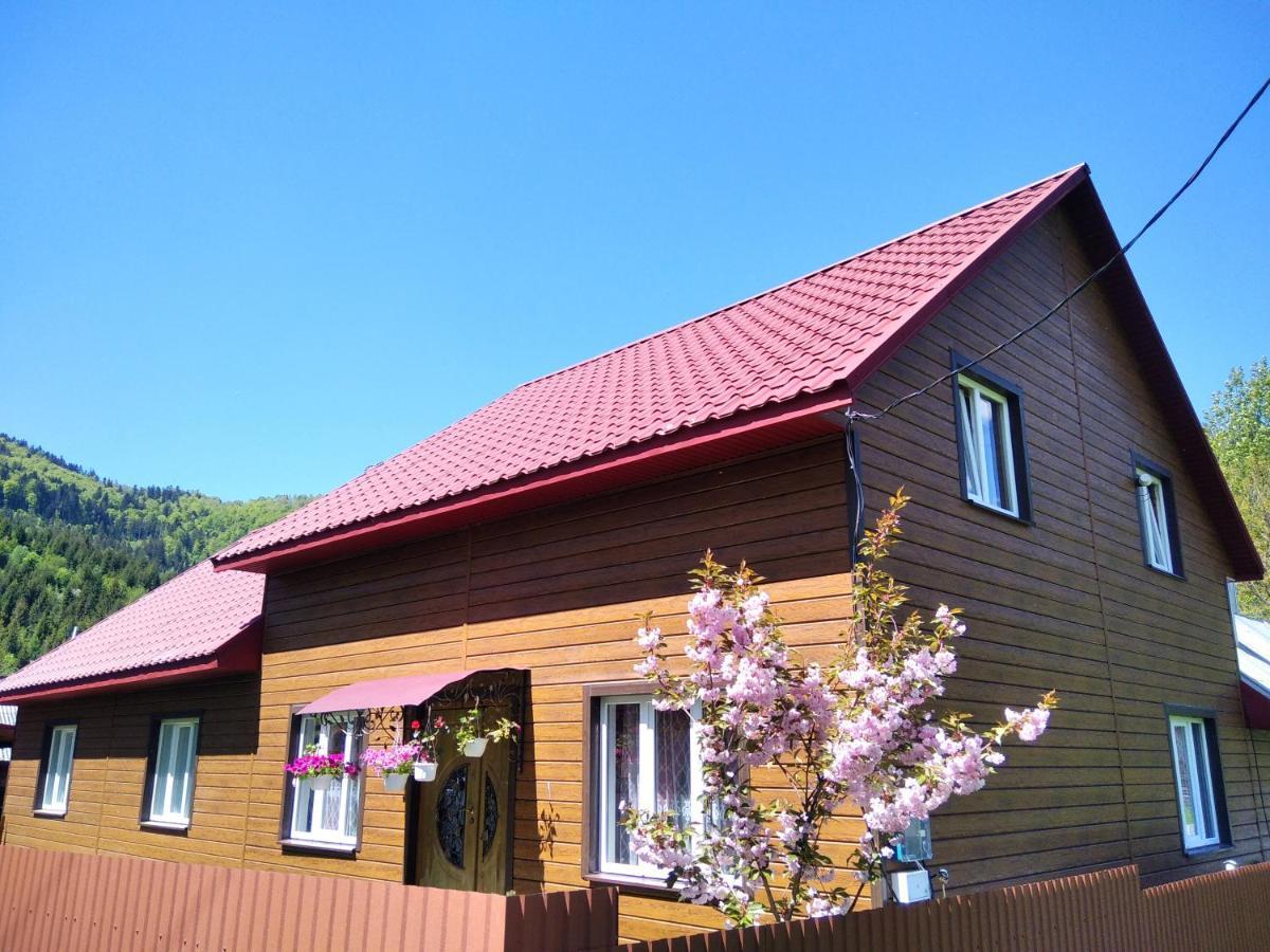 Відпочинок У Карпатах, Мінеральні Ванни, Банний Чан! Pension Verkhnyaya Bystra Buitenkant foto