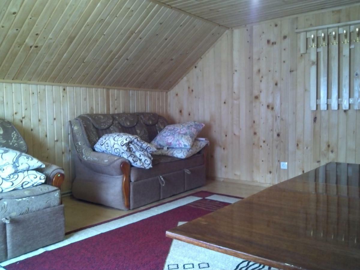Відпочинок У Карпатах, Мінеральні Ванни, Банний Чан! Pension Verkhnyaya Bystra Buitenkant foto