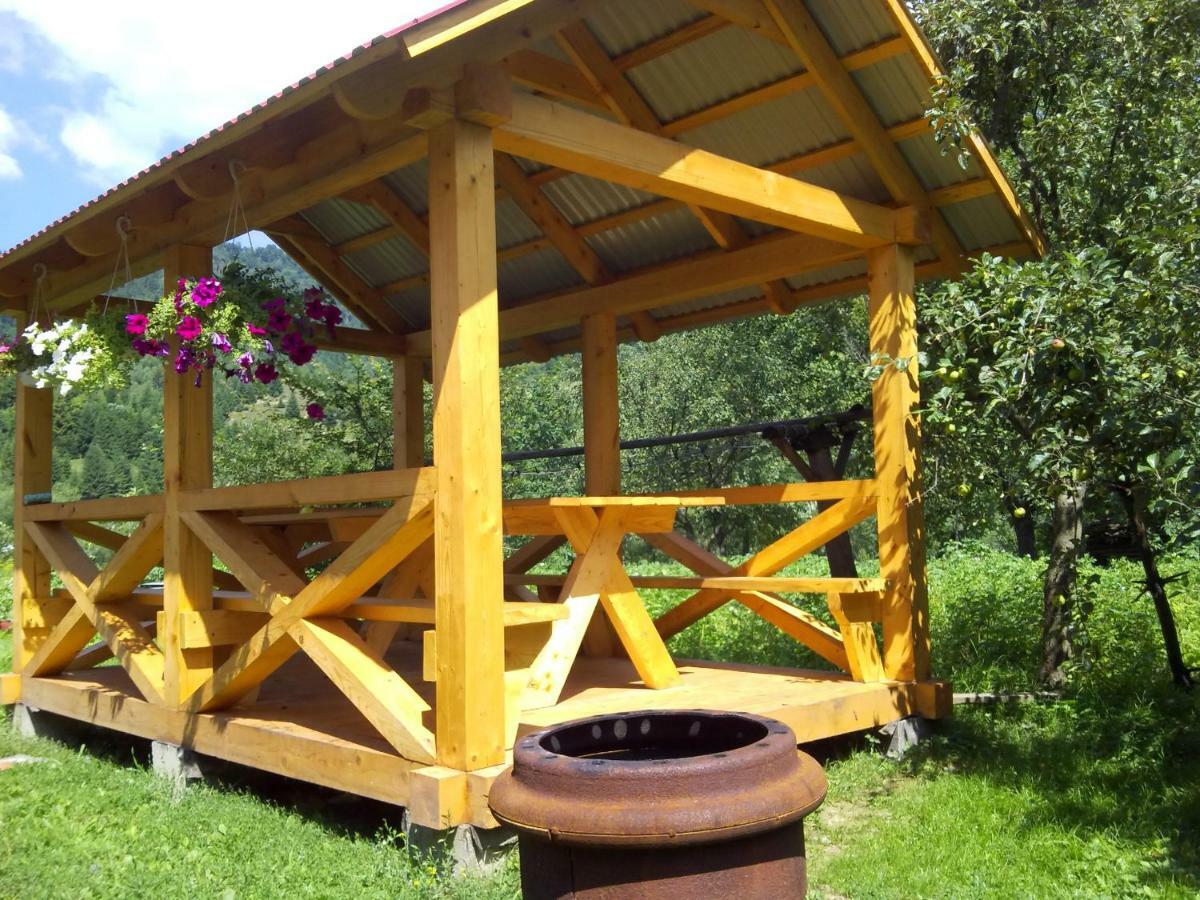 Відпочинок У Карпатах, Мінеральні Ванни, Банний Чан! Pension Verkhnyaya Bystra Buitenkant foto