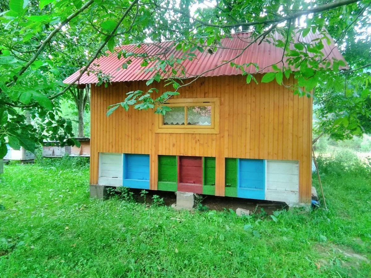 Відпочинок У Карпатах, Мінеральні Ванни, Банний Чан! Pension Verkhnyaya Bystra Buitenkant foto